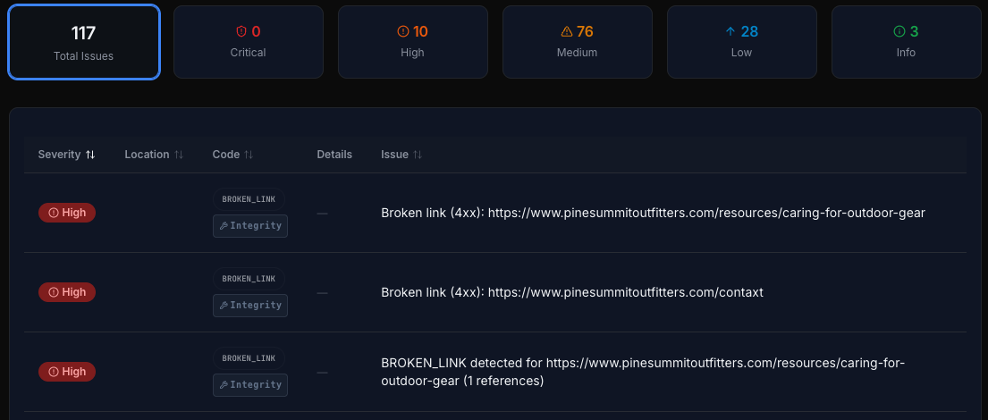 CheckSitePulse Report View showing website audit results